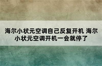 海尔小状元空调自己反复开机 海尔小状元空调开机一会就停了